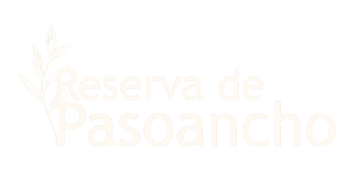 Logo del sitio